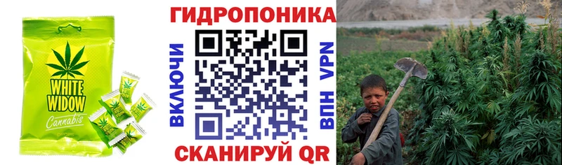 где можно купить наркотик  Вологда  кракен ССЫЛКА  Cannafood марихуана 
