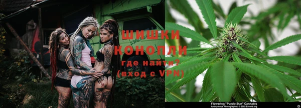 крисы Семилуки