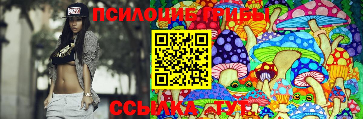 Псилоцибиновые грибы ЛСД Вологда