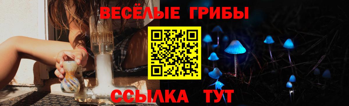 Вологда  Галлюциногенные грибы мицелий  сколько стоит  Вход с VPN  Галлюциногенные грибы Cubensis 